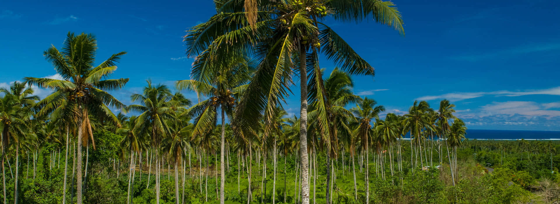 Pacific Islands