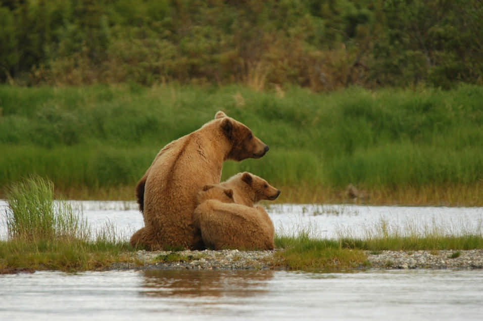 Canada - Yukon