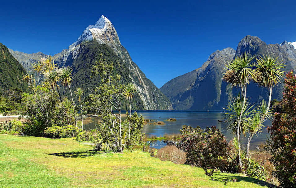 New Zealand